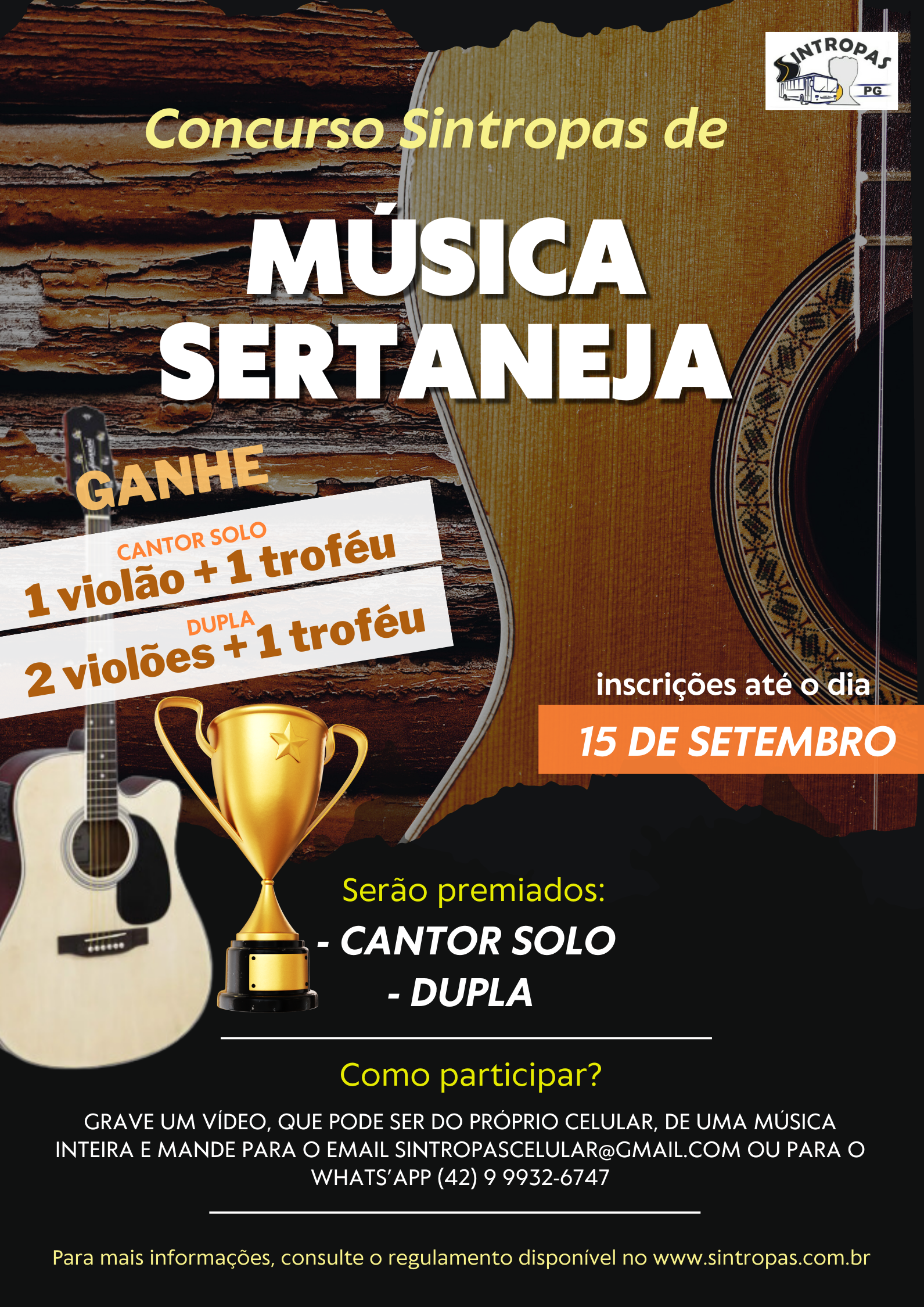 arte concurso sertanejo (3)